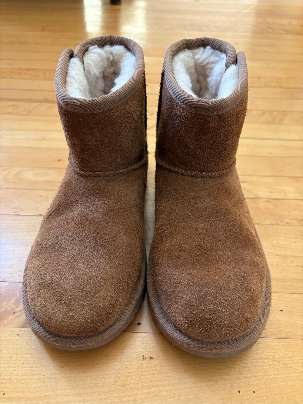 UGG Kids Classic Short Boot in Chestnut